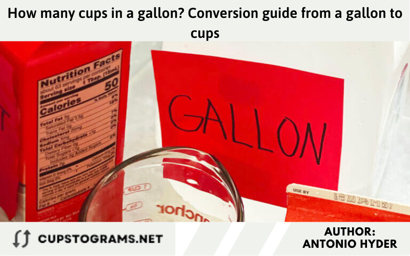 How many cups in a gallon? Conversion guide from a gallon to cups