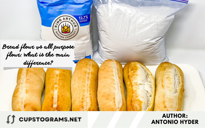 Bread flour vs all purpose flour What is the main difference?