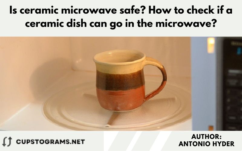 Is ceramic microwave safe? How to check if a ceramic dish can go in the microwave?