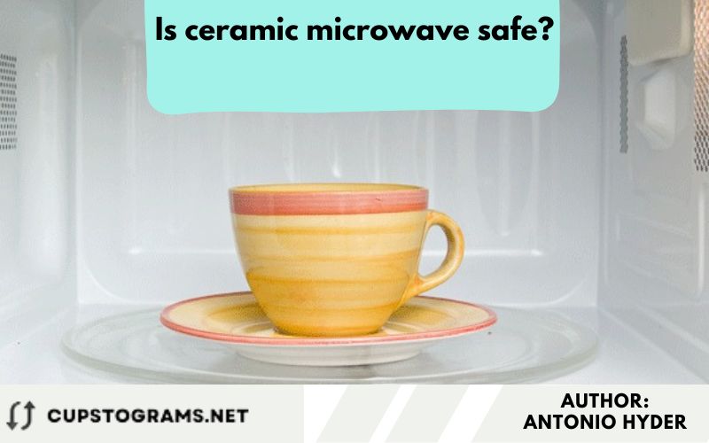 Is ceramic microwave safe?