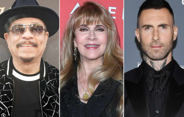 Rock and Roll Hall of Fame 2023 Adds Stevie Nicks, Ice